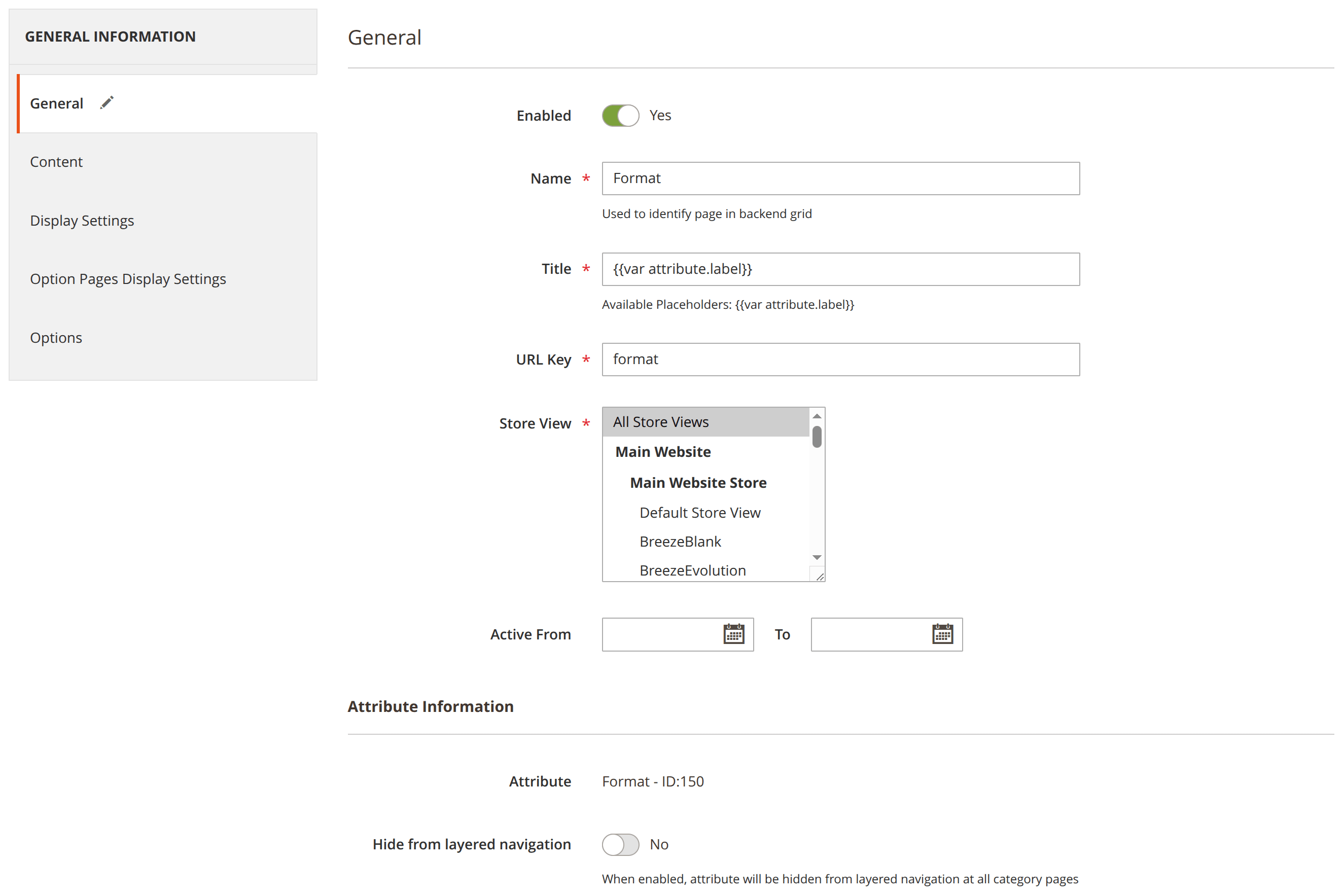 Page information tab