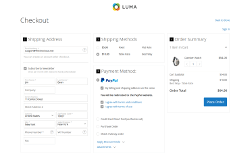 Minimal Layout. No information is shown except store logo and checkout form.
